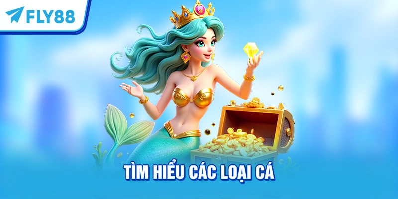 Tìm hiểu các loại cá